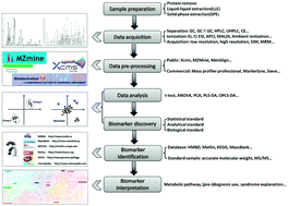 Graphical abstract: Current state of the art of mass spectrometry-based metabolomics studies – a review focusing on wide coverage, high throughput and easy identification