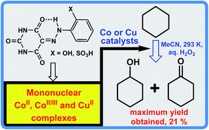 Graphical abstract: Arylhydrazones of barbituric acid: synthesis, coordination ability and catalytic activity of their CoII, CoII/III and CuII complexes toward peroxidative oxidation of alkanes