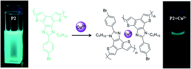 Graphical abstract: Benzodithieno-imidazole based π-conjugated fluorescent polymer probe for selective sensing of Cu2+