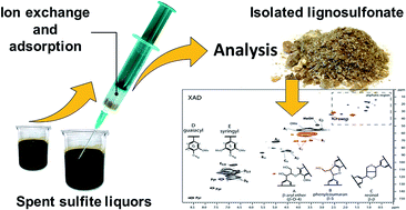 Graphical abstract: Fast track for quantitative isolation of lignosulfonates from spent sulfite liquors