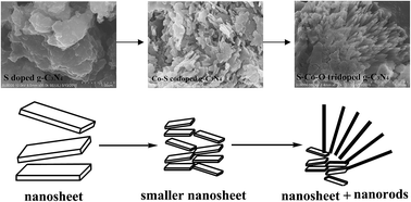 Graphical abstract: A facile approach to synthesizing S–Co–O tridoped g-C3N4 with enhanced oxygen-free photocatalytic performance via a hydrothermal post-treatment