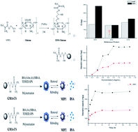 Graphical abstract: Chitosan nanoparticle carrier based on surface molecularly imprinted polymers for the recognition and separation of proteins