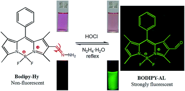 Graphical abstract: A novel “turn-on” fluorogenic probe for sensing hypochlorous acid based on BODIPY