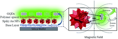 Graphical abstract: Simultaneous enhancement of Raman scattering and fluorescence emission on graphene quantum dot-spiky magnetoplasmonic supra-particle composite films