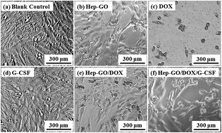 Graphical abstract: Heparin-modified graphene oxide loading anti-cancer drug and growth factor with heat stability, long-term release property and lower cytotoxicity