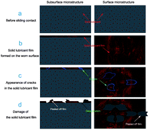 Graphical abstract: Analytical model and experimental validation of the local damage mechanism of solid lubricant films for metal matrix self-lubricating composites