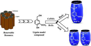 Graphical abstract: Performance of cobalt titanate towards H2O2 based catalytic oxidation of lignin model compound