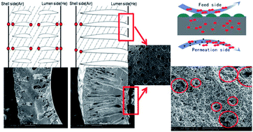 Graphical abstract: The effect of microstructure and surface decoration with K2NiF4-type oxide upon the oxygen permeability of perovskite-type La0.7Sr0.3FeO3−δ hollow fiber membranes