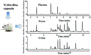 Graphical abstract: Metabolic profile of Yi-Xin-Shu capsule in rat by ultra-performance liquid chromatography coupled with quadrupole time-of-flight tandem mass spectrometry analysis