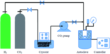 Graphical abstract: Hydrogenation in supercritical conditions catalyzed by palladium supported on modified activated carbon