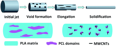 Graphical abstract: Investigation of polylactide/poly(ε-caprolactone)/multi-walled carbon nanotubes electrospun nanofibers with surface texture