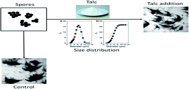 Graphical abstract: Microparticle-enhanced production of ε-poly-l-lysine in fed-batch fermentation