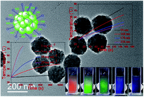 Graphical abstract: Size-controlled synthesis of water-dispersible superparamagnetic Fe3O4 nanoclusters and their magnetic responsiveness