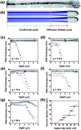 Graphical abstract: Enhanced stabilisation of tetragonal (t)-ZrO2 in the controlled nanotubular geometry