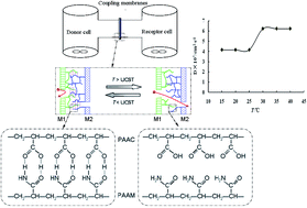 Graphical abstract: Fabrication of rapidly-responsive switches based on the coupling effect of polyacrylamide and poly(acrylic acid) without IPN structures