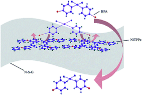 Graphical abstract: A nitrogen and sulfur co-doped graphene-supported nickel tetrapyridyloxyphthalocyanine hybrid fabricated by a solvothermal method and its application for the detection of bisphenol A