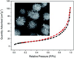 Graphical abstract: Micron-sized flower-like Fe3O4@GMA magnetic porous microspheres for lipase immobilization