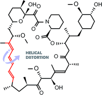 Graphical abstract: Orosomucoid binding induced amplification of inherent chirality of the immunosuppressant drug sirolimus