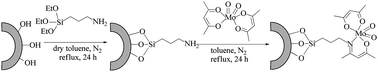 Graphical abstract: An immobilized molybdenum acetylacetonate complex on expanded starch for the epoxidation of stillingia oil