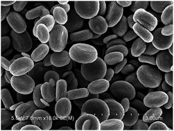 Graphical abstract: Novel red blood cell shaped α-Fe2O3 microstructures and FeO(OH) nanorods as high capacity supercapacitors