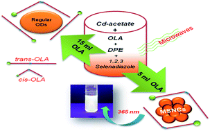 Graphical abstract: Rapid microwave synthesis of white light emitting magic sized nano clusters of CdSe: role of oleic acid