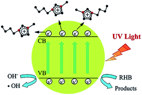 Graphical abstract: Synthesis of ionic liquid-modified BiPO4 microspheres with hierarchical flower-like architectures and enhanced photocatalytic activity