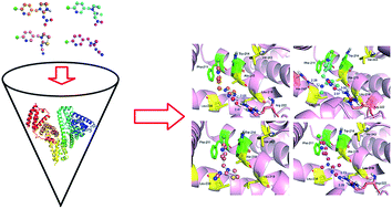 Graphical abstract: In vitro evaluation of the conjugations of neonicotinoids with transport protein: photochemistry, ligand docking and molecular dynamics studies