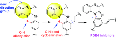 Graphical abstract: Quinoxaline: a new directing group for ortho C–H alkenylation / intramolecular ortho C–H cycloamination under open air leading to bioactive polynuclear N-heteroarenes