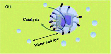 Graphical abstract: Preparation and enhanced catalytic activity of amphiphilic rambutan-like micro-reactors