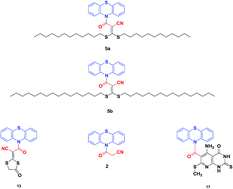 Graphical abstract: Synthesis, antimicrobial evaluation and molecular modeling of some novel phenothiazine derivatives