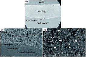 Graphical abstract: Tribology and high-temperature oxidation behaviors of NiCrBSiFe composite coatings on Ti6Al4V alloy by laser cladding