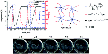Graphical abstract: Improved shape memory performance of star-shaped POSS-polylactide based polyurethanes (POSS-PLAUs)