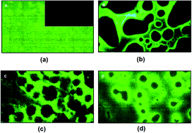 Graphical abstract: Solvatochromism of a tricycloquinazoline based disk-shaped liquid crystal: a potential molecular probe for fluorescence imaging