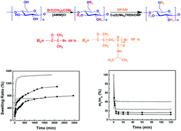 Graphical abstract: Thermal-sensitive Starch-g-PNIPAM prepared by Cu(0) catalyzed SET-LRP at molecular level