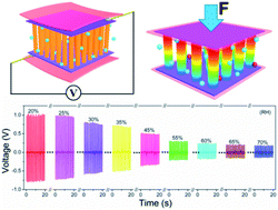 Graphical abstract: Hydrothermal synthesis of Co–ZnO nanowire array and its application as piezo-driven self-powered humidity sensor with high sensitivity and repeatability