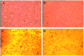 Graphical abstract: Main chain photoresponsive liquid crystalline polymer synthesized through hydrosilylation