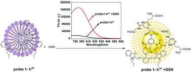 Graphical abstract: Synthesis of a new highly sensitive near-infrared fluorescent iridium(iii) probe and its application for the highly selective detection of glutathione