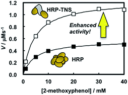 Graphical abstract: Enhanced catalytic activity of enzymes interacting with nanometric titanate nanosheets