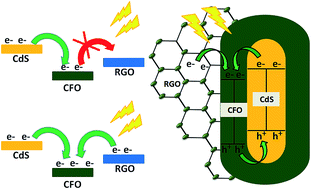 Graphical abstract: Reduced graphene oxide coupled CdS/CoFe2O4 ternary nanohybrid with enhanced photocatalytic activity and stability: a potential role of reduced graphene oxide as a visible light responsive photosensitizer