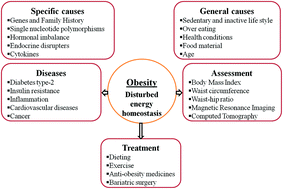 Graphical abstract: Current trends and future prospects of lipstatin: a lipase inhibitor and pro-drug for obesity
