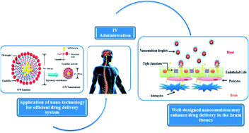 Graphical abstract: Predicting the optimum compositions of a parenteral nanoemulsion system loaded with azithromycin antibiotic utilizing the artificial neural network model