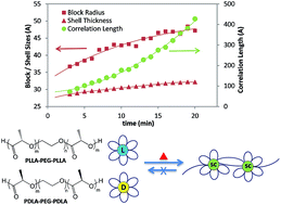 Graphical abstract: Time-resolved SANS analysis of micelle chain exchange behavior: thermal crosslink driven by stereocomplexation of PLA–PEG–PLA micelles