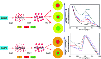 Graphical abstract: Localized surface plasmon resonance of Cu nanoparticles by laser ablation in liquid media