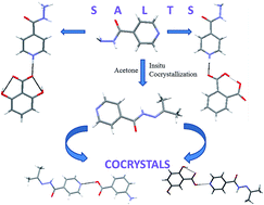 Graphical abstract: The hierarchies of hydrogen bonds in salts/cocrystals of isoniazid and its Schiff base – a case study