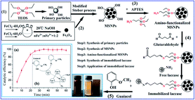 Graphical abstract: Immobilization of laccase on magnetic silica nanoparticles and its application in the oxidation of guaiacol, a phenolic lignin model compound