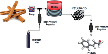 Graphical abstract: Platinum-catalysed cinnamaldehyde hydrogenation in continuous flow