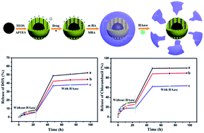 Graphical abstract: Enzyme-sensitive magnetic core–shell nanocomposites for triggered drug release