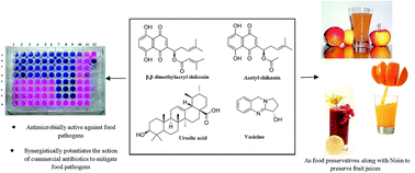 Graphical abstract: Dual role of select plant based nutraceuticals as antimicrobial agents to mitigate food borne pathogens and as food preservatives