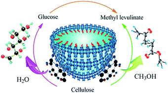 Graphical abstract: Hydrolysis and alcoholysis of polysaccharides with high efficiency catalyzed by a (C16TA)xH6−xP2W18O62 nanoassembly