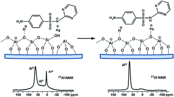 Graphical abstract: Solid state NMR characterization of zeolite beta based drug formulations containing Ag and sulfadiazine